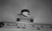 early position transducer #1